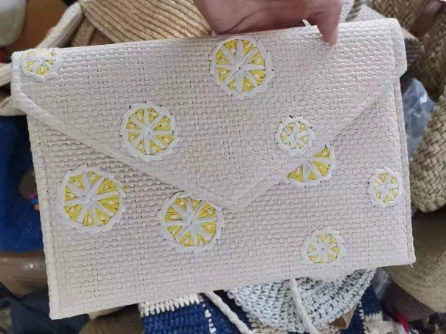 Pabertikandiga naiste sidurikott